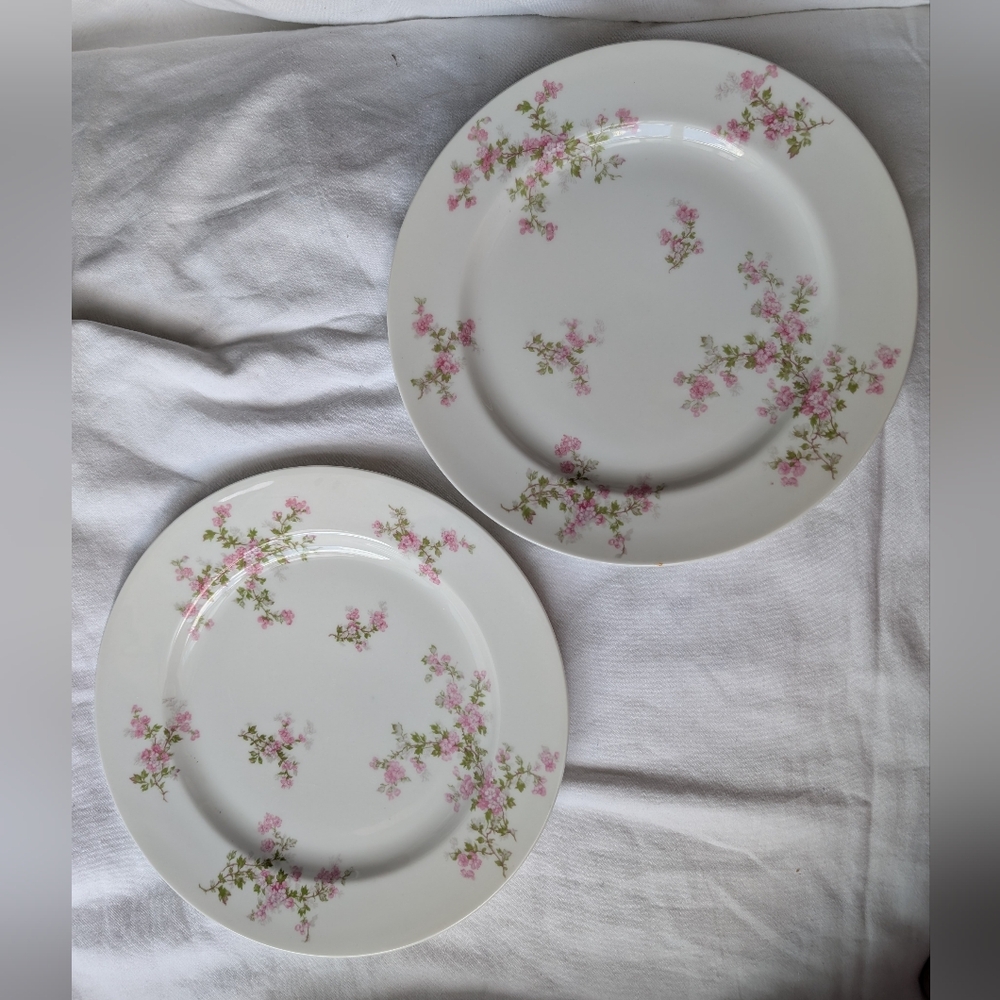 Vintage Haviland & Co Limoges France Pink Floral Porcelain Dinner Plates - 2